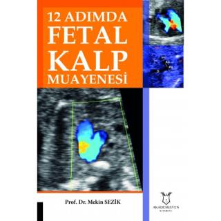 12 Adımda Fetal Kalp Muayenesi