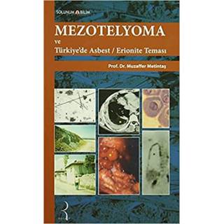 Mezotelyoma ve Türkiye'de Erionite Teması